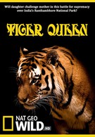 Королева тигров (2010)