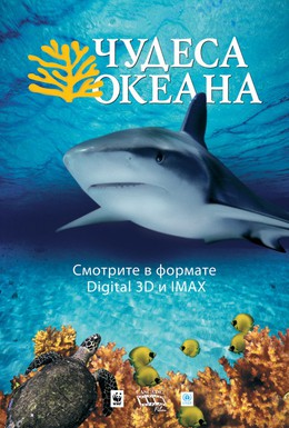 Постер фильма Чудеса океана 3D (2003)