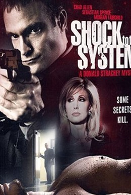 Постер фильма Удар по системе (2006)