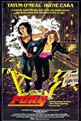 Постер фильма Исключительная ярость (1985)