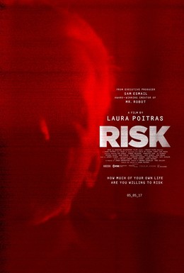 Постер фильма Риск (2016)