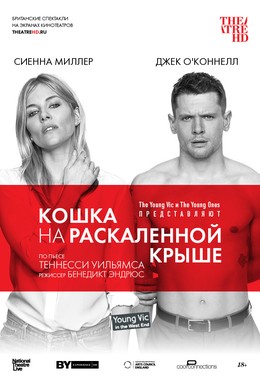 Постер фильма Кошка на раскалённой крыше (2018)