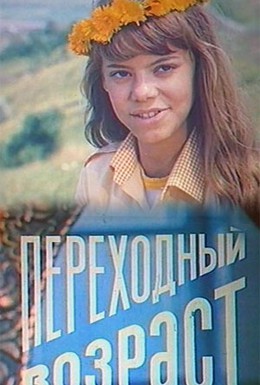 Постер фильма Переходный возраст (1981)