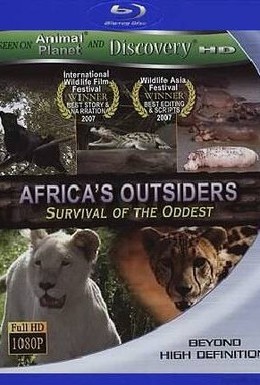 Постер фильма Animal Planet: Дикие изгои в Африке (2006)