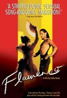 Фламенко (1995)