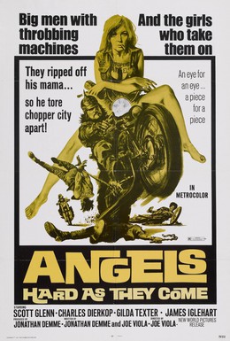 Постер фильма Ангелов круче не бывает (1971)