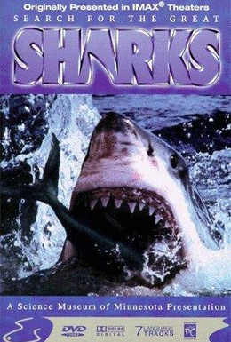 Постер фильма В поисках больших акул (1995)