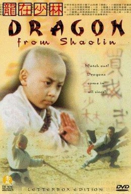 Постер фильма Дракон из Шаолиня (1996)
