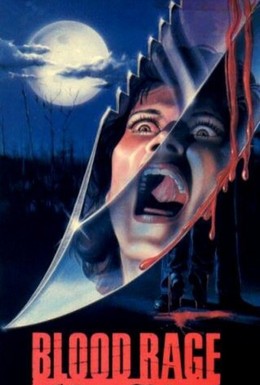Постер фильма Кровная ярость (1987)