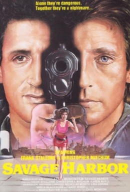 Постер фильма Смертельная вражда (1987)