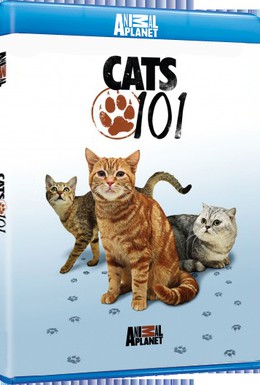 Постер фильма Энциклопедия кошек (2008)