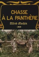 Охота на пантеру (1909)