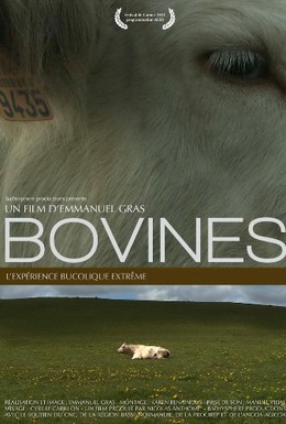 Постер фильма Коровы (2011)
