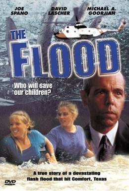 Постер фильма Наводнение: Кто спасёт наших детей? (1993)