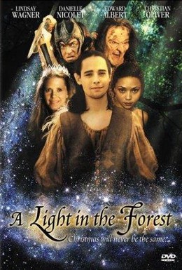 Постер фильма Свет в лесу (2003)