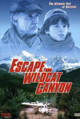 Постер фильма Побег из каньона дикой кошки (1998)