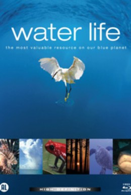 Постер фильма Водная жизнь (2008)