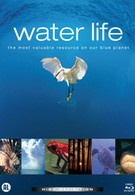 Водная жизнь (2008)