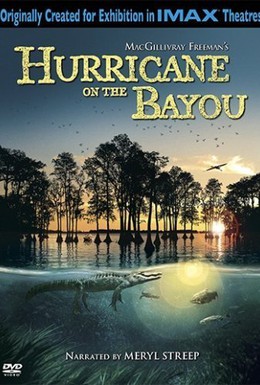 Постер фильма Ураган на Байу (2006)