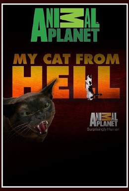 Постер фильма Адская кошка (2011)