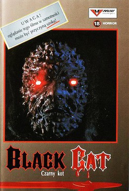 Постер фильма Чёрная кошка (1989)
