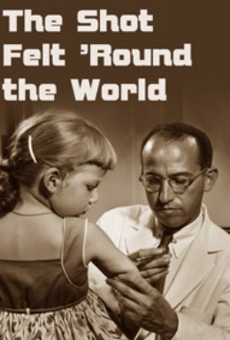 Постер фильма Открытие полиомиелитной вакцины (2010)