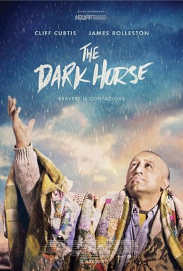 Постер фильма Тёмная лошадка (2014)
