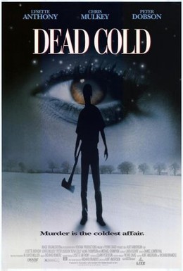 Постер фильма Смертельный холод (1995)