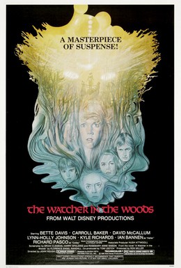 Постер фильма Лесной наблюдатель (1980)