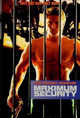 Постер фильма Безопасность гарантируется (1997)