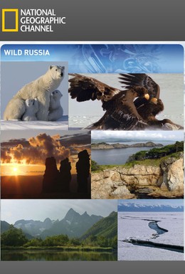 Постер фильма Дикая природа России (2008)