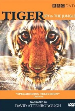 Постер фильма BBC: Тигр – Шпион джунглей (2008)