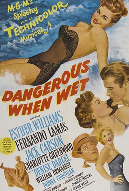 Постер фильма Покорить Ла-Манш (1953)