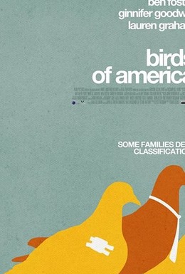Постер фильма Птицы Америки (2008)