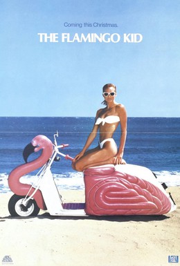 Постер фильма Парень из Фламинго (1984)