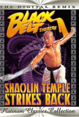 Постер фильма Храм Шаолинь наносит ответный удар (1981)