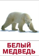 Белый медведь (1975)