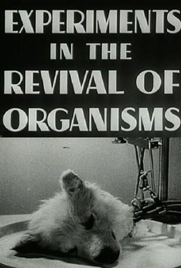 Постер фильма Эксперименты по оживлению организмов (1940)