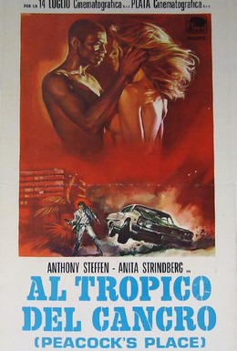 Постер фильма Тропик Рака (1972)