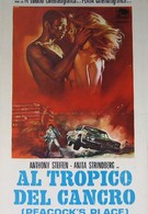 Тропик Рака (1972)