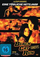 Бег черной кошки (1998)