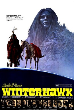 Постер фильма Зимний ястреб (1975)