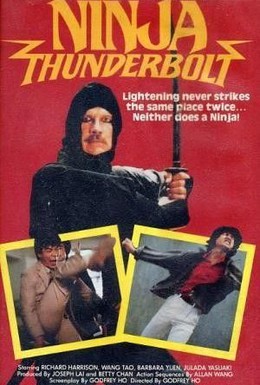 Постер фильма Удар молнии ниндзя (1984)