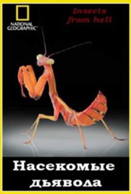 Постер фильма Эти кошмарные насекомые (2005)