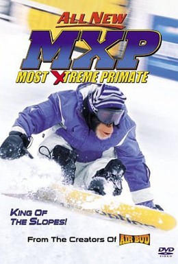 Постер фильма Король сноуборда (2004)
