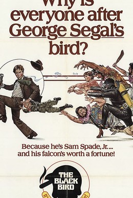 Постер фильма Черная птица (1975)