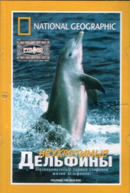 Постер фильма National Geographic: Неукротимые дельфины (1999)