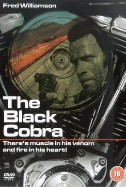 Постер фильма Черная кобра (1987)