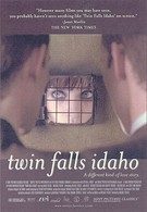 Близнецы из Айдахо (1999)