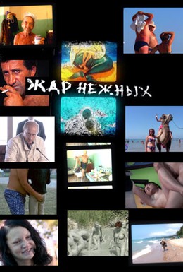 Постер фильма Жар нежных (2007)